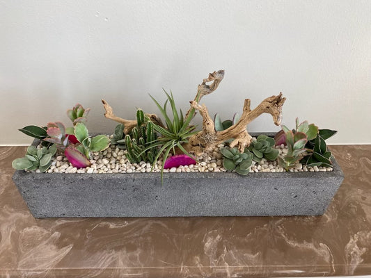 Long Succulent Planter with Driftwood
