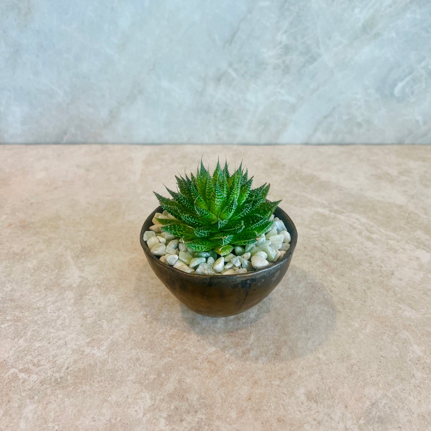 Louise Rosenfield x Sage Blooms Cup 6