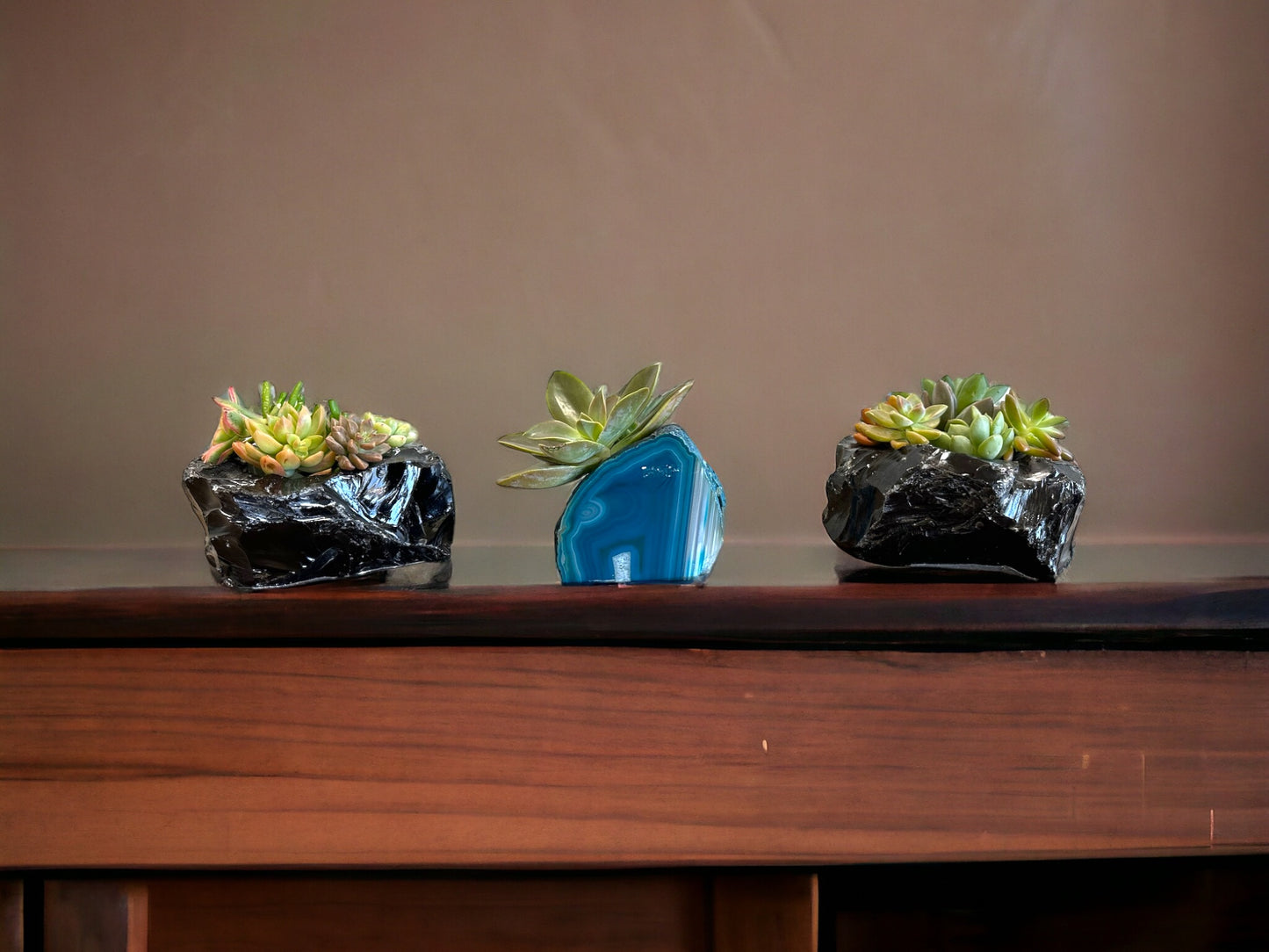 Black Obsidian Planters and Teal Agate Crystal Planter with Cut Succulents