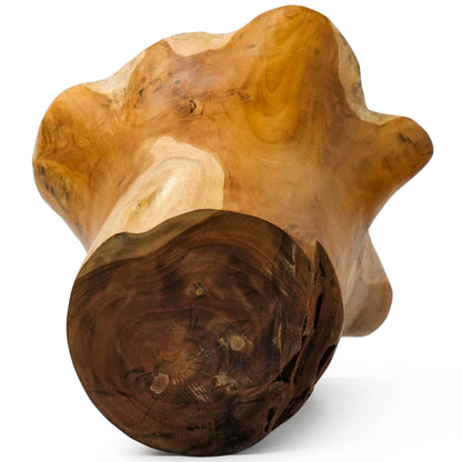 12" Blooming Rootstock Teak Root Vase