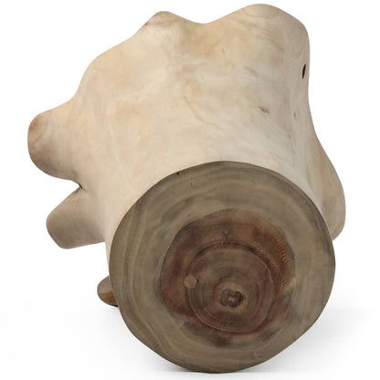 12" Blooming Rootstock Teak Root Vase