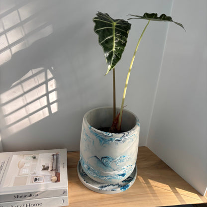 Luma - 7.5” Concrete Planter Pot