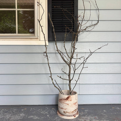 Luma - 7.5” Concrete Planter Pot