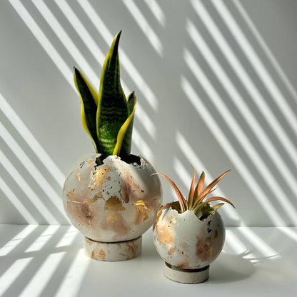 Moon Planter Pot 5” - Spherical Concrete Planter