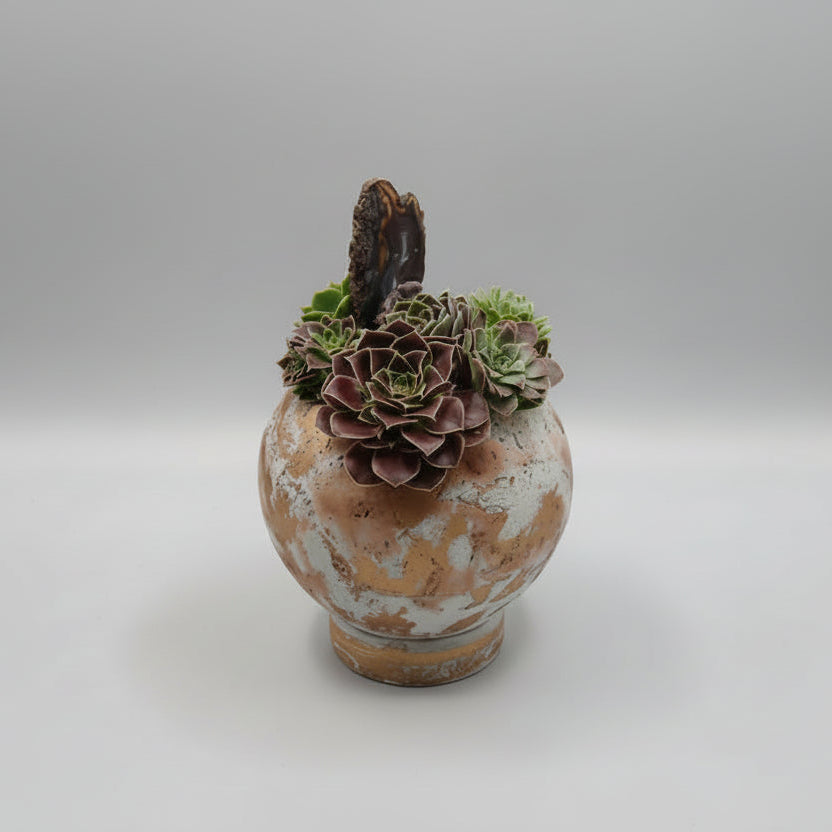 Decorative pot with succulents on a textured surface