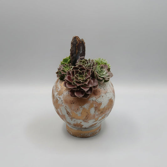 Decorative pot with succulents on a textured surface