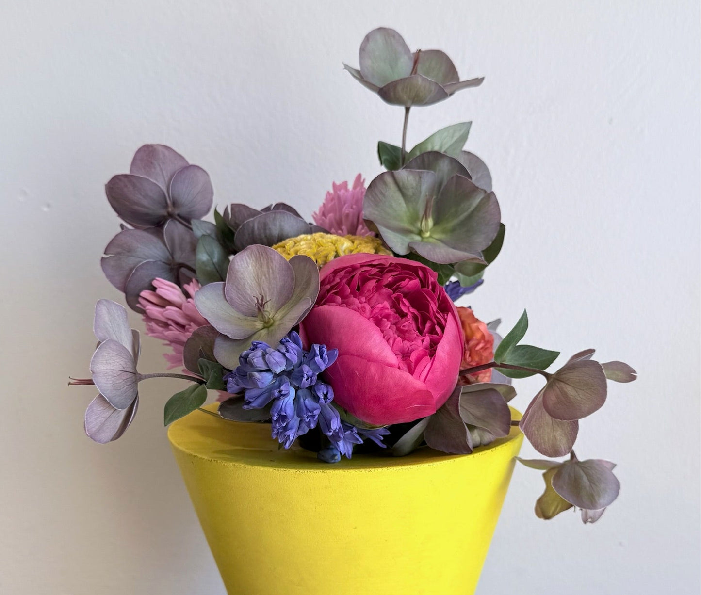 Weekly Special: Peonies