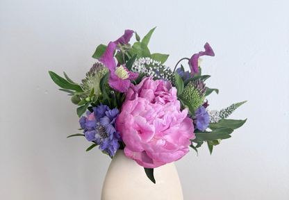 Weekly Special: Peonies