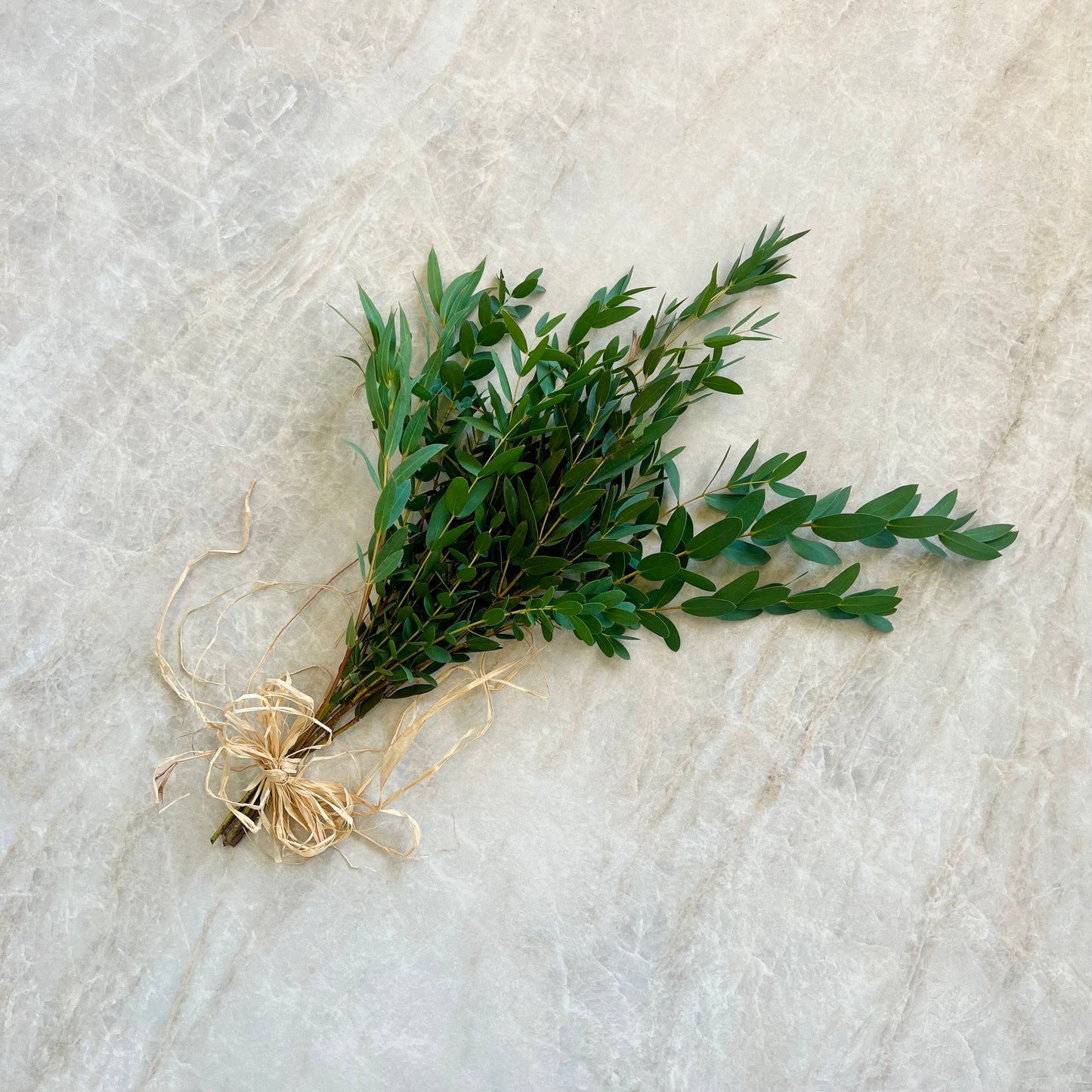 A small bundle of fresh green leaves tied with natural jute string, placed on a light beige stone surface.