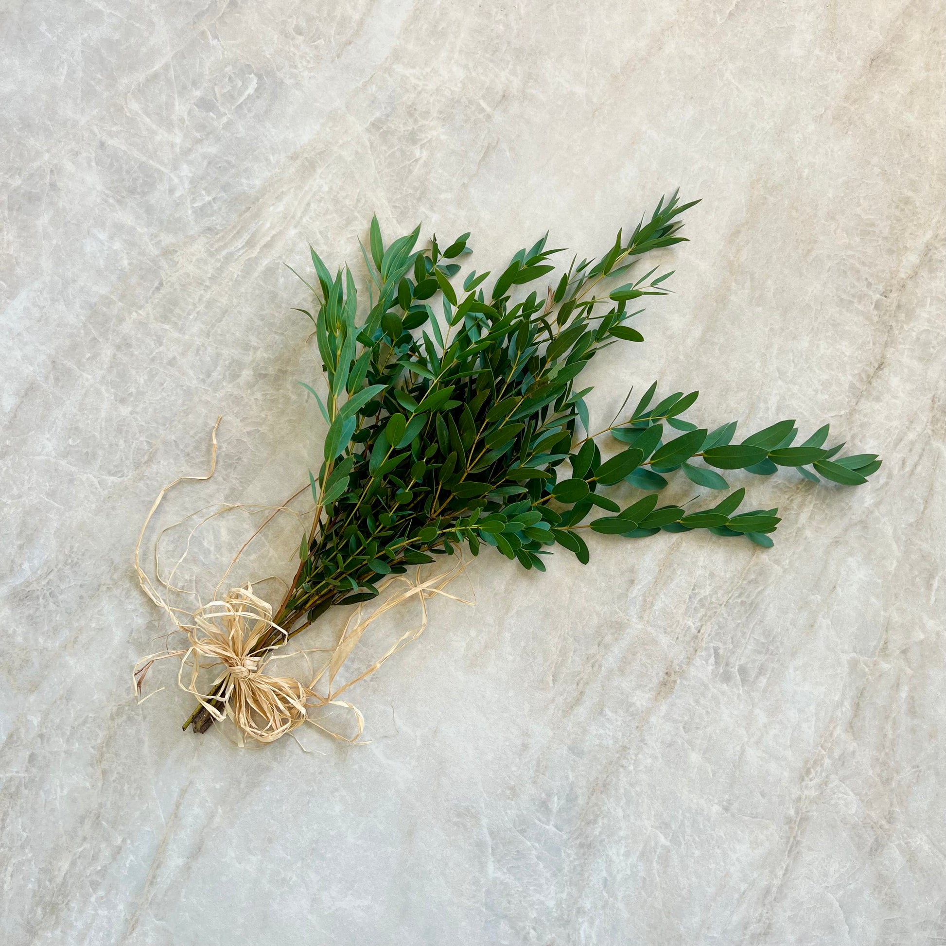 A small bundle of fresh green leaves tied with natural jute string, placed on a light beige stone surface.