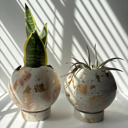 Moon Planter Pot 5” - Spherical Concrete Planter