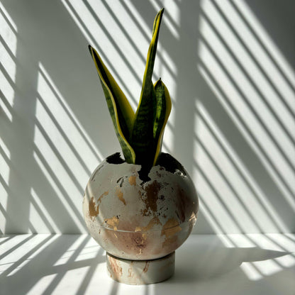 Moon Planter Pot 5” - Spherical Concrete Planter