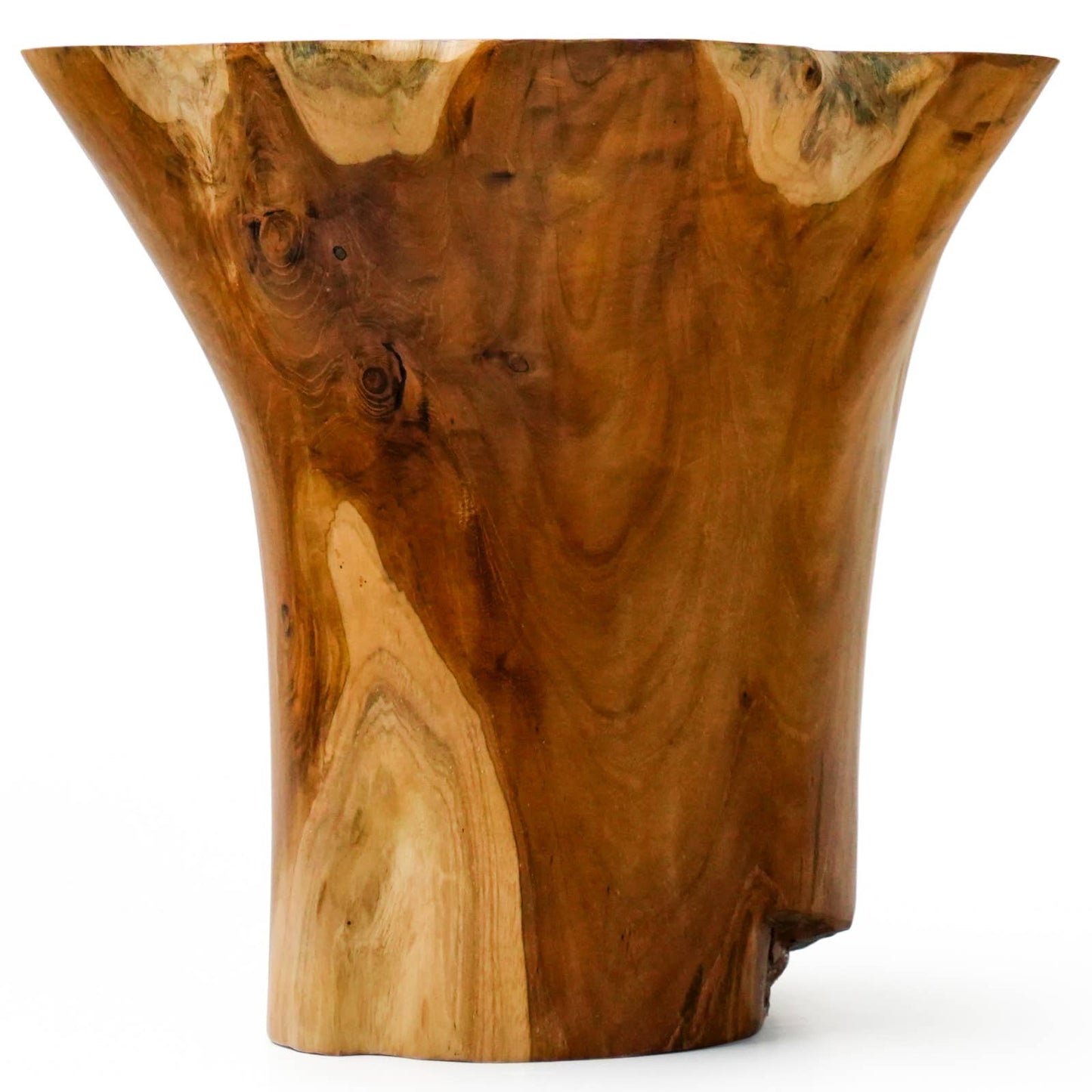 12" Blooming Rootstock Teak Root Vase