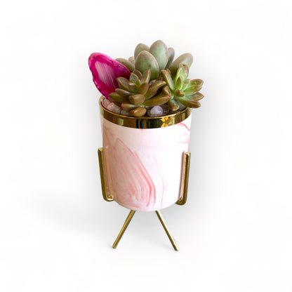 Sage Blooms Gift Card